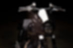 Buell Super Cruiser